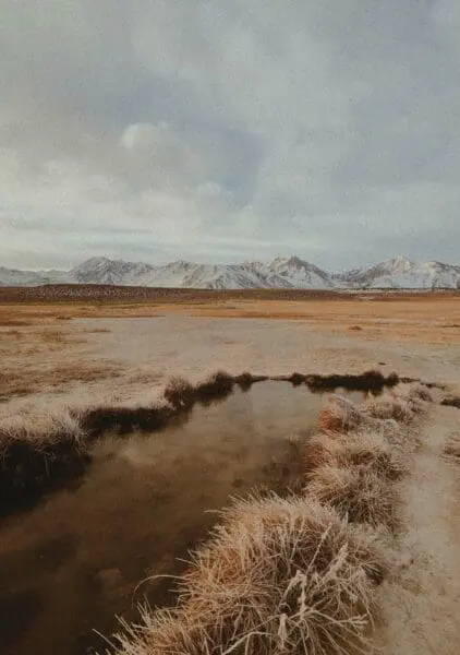 massagetechniek zweeds